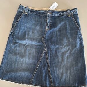 Banana Republic Blue Denim Skirt